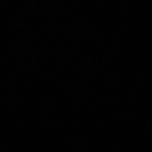 Meet your Posher, Naomi